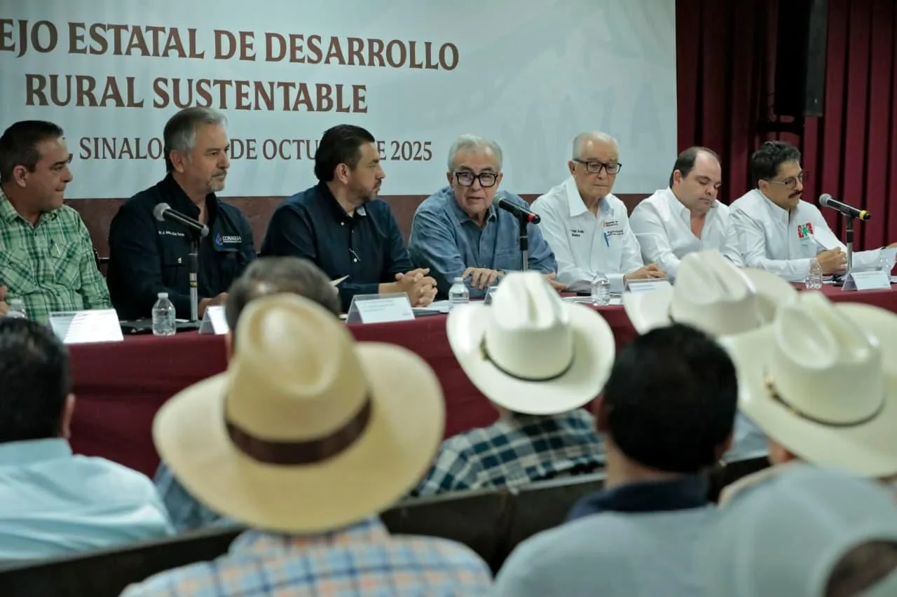 Aprueban autoridades y productores superficie de siembra para ciclo agrícola en Sinaloa
